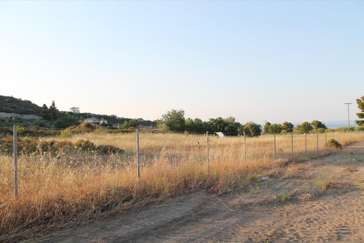 Realty photo 3