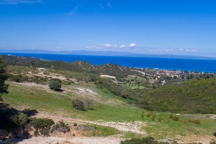 Realty photo 1