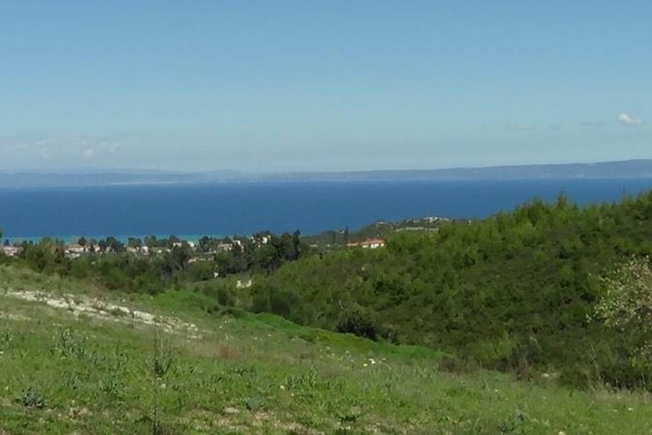 Realty photo 3