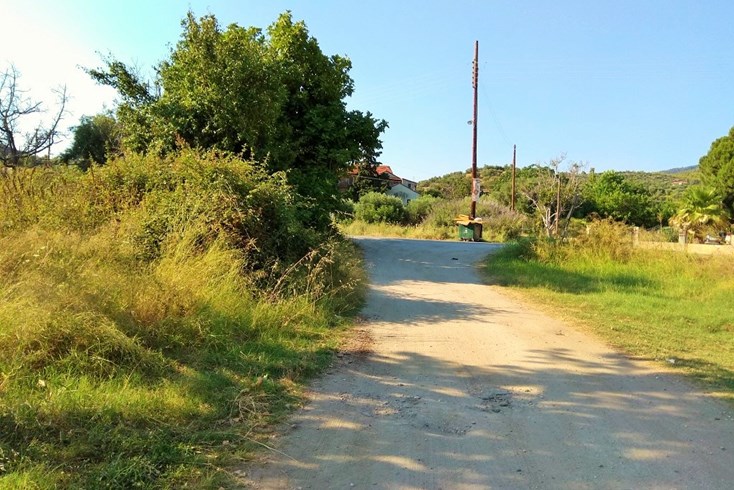 Realty photo 1