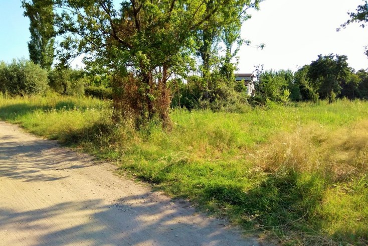 Realty photo 2