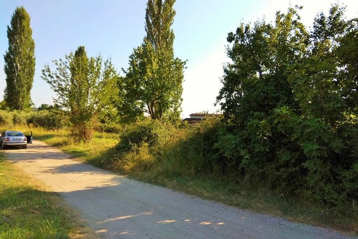 Realty photo 3