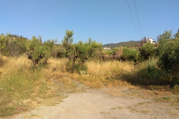Realty photo 3
