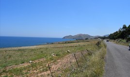 Land 11600 m² in Crete