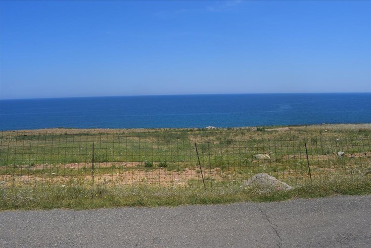 Realty photo 2