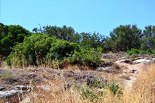 Property 24957 photo 3
