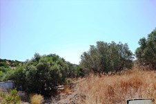 Property 24957 photo 5