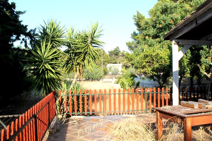 Realty photo 1