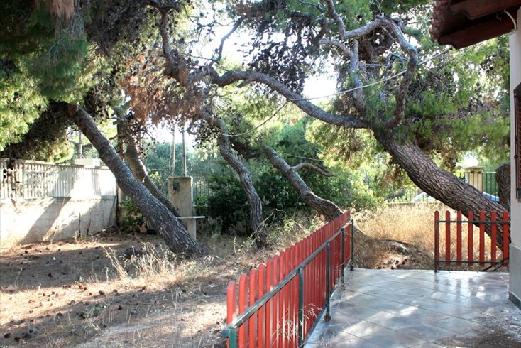 Realty photo 2