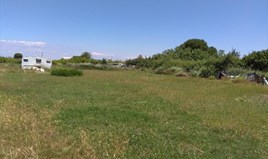 Land 16800 m² in Athos, Chalkidiki