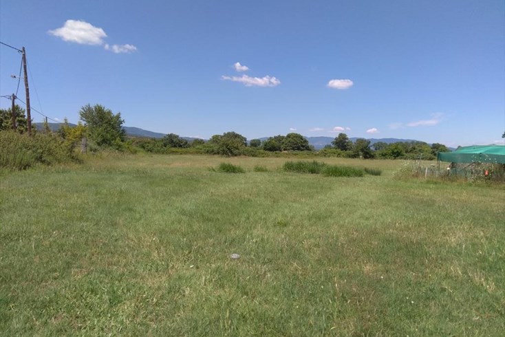 Realty photo 2
