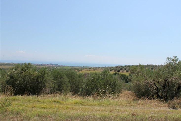 Realty photo 2