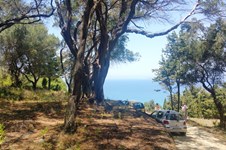 Property 25057 photo 2