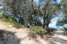 Property 25057 photo 3