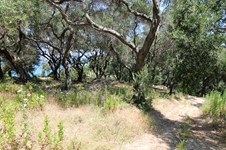 Property 25057 photo 4