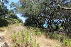 Property 25057 photo 5
