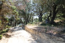 Property 25057 photo 7