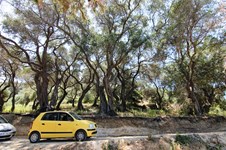 Property 25057 photo 8