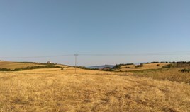 Land 8453 m² in Athos, Chalkidiki
