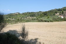 Property 25067 photo 4