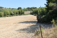 Property 25067 photo 6