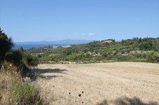 Property 25067 photo 3