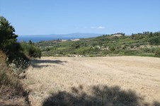 Property 25067 photo 8