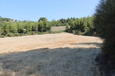 Property 25067 photo 9