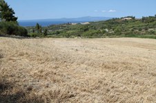 Property 25067 photo 10