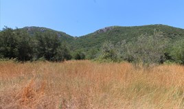Парцел 7000 m² на о-в Корфу