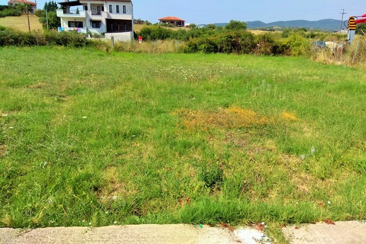Realty photo 2