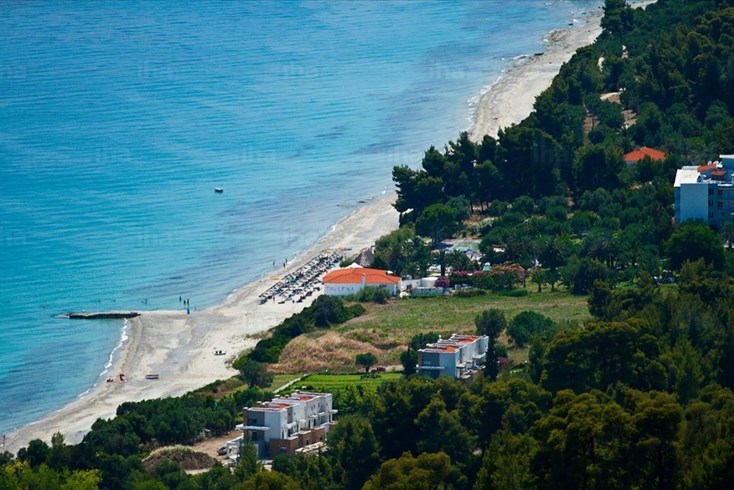 Realty photo 1