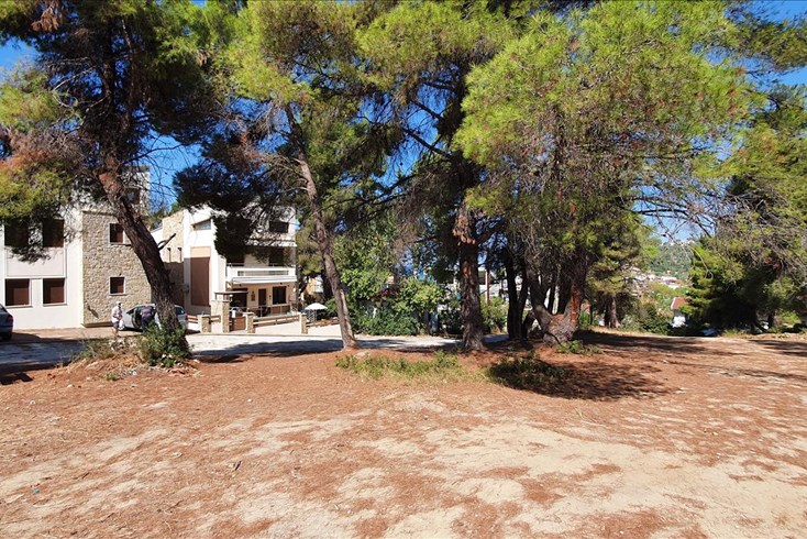 Realty photo 3