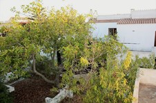Property 25160 photo 7