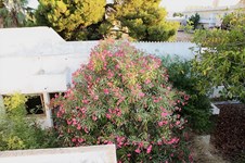 Property 25160 photo 6