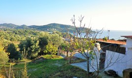 Γη 2583 μ² στον Άθω