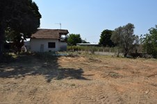 Property 25194 photo 1