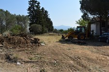 Property 25194 photo 2