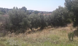 Land 6662 m² auf Sithonia (Chalkidiki)