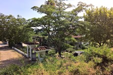 Property 25197 photo 12
