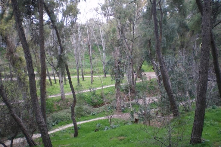 Realty photo 2