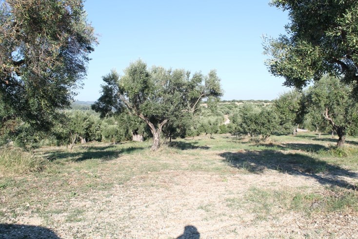 Realty photo 1