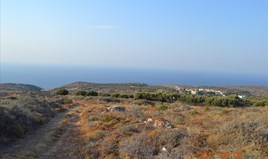 Land 6000 m² auf Kreta