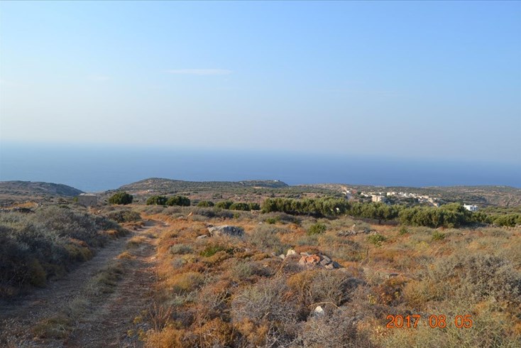 Realty photo 1