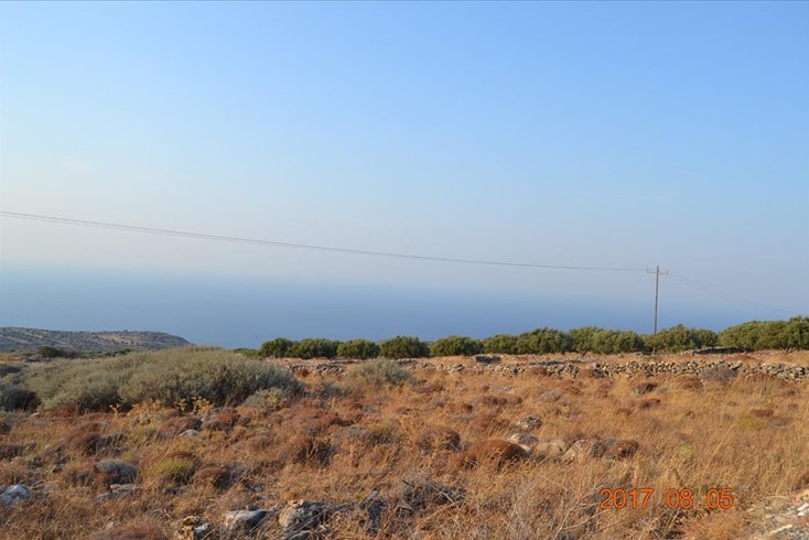 Realty photo 2