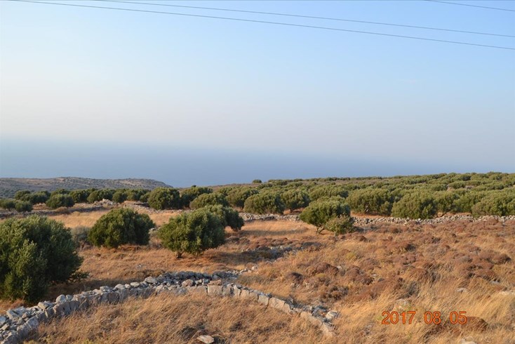 Realty photo 1