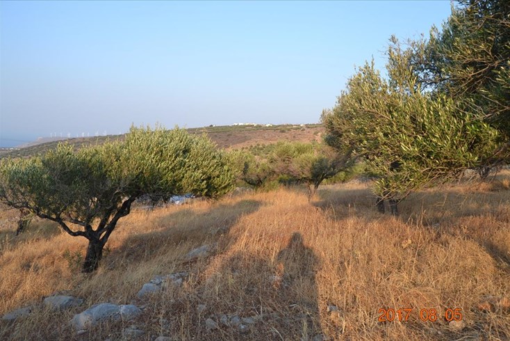 Realty photo 3