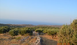 Земельна ділянка 11000 m² на Криті