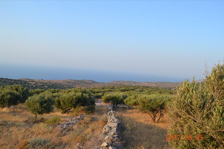 Realty photo 1