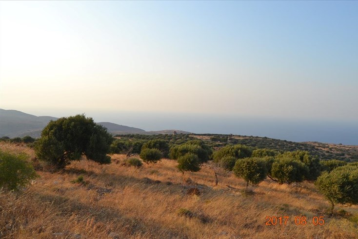 Realty photo 2